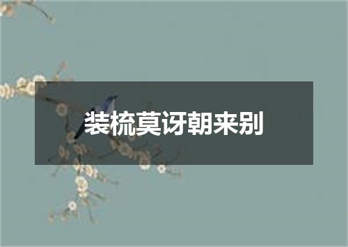 装梳莫讶朝来别