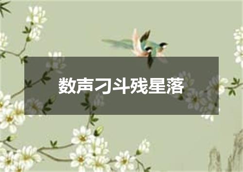 数声刁斗残星落