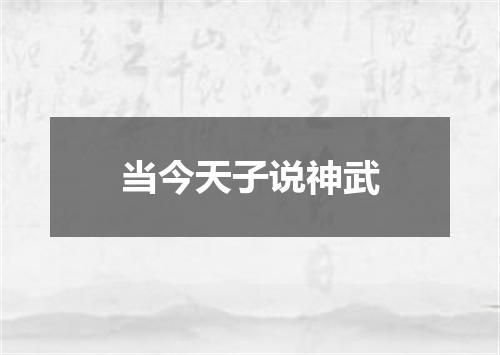 当今天子说神武