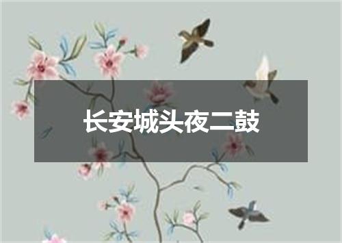 长安城头夜二鼓