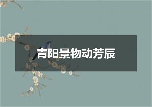 青阳景物动芳辰