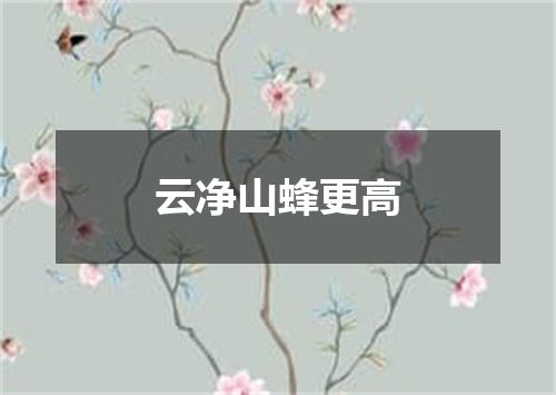 云净山蜂更高