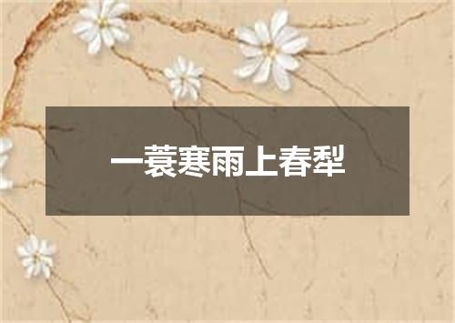 一蓑寒雨上春犁