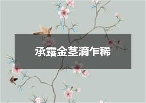 承露金茎滴乍稀