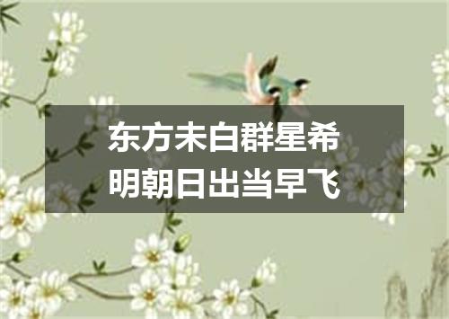 东方未白群星希明朝日出当早飞