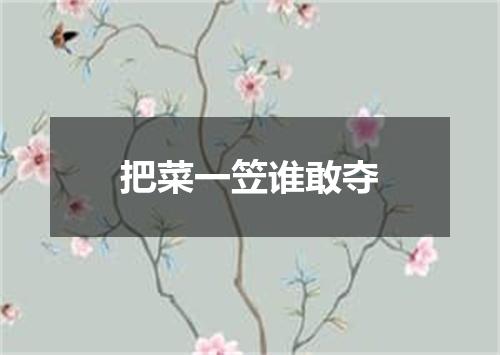 把菜一笠谁敢夺