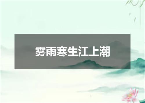 雾雨寒生江上潮