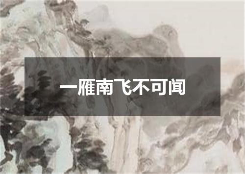 一雁南飞不可闻