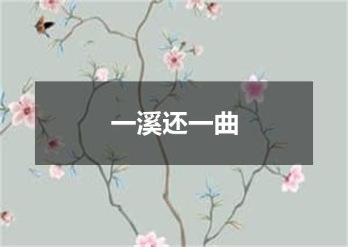 一溪还一曲