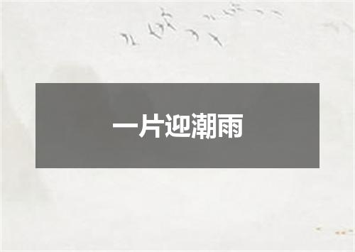 一片迎潮雨