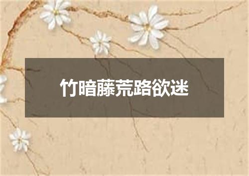竹暗藤荒路欲迷