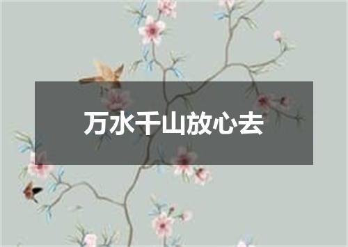 万水千山放心去