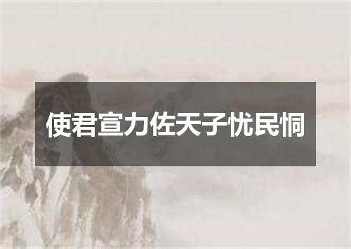 使君宣力佐天子忧民恫