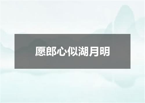 愿郎心似湖月明