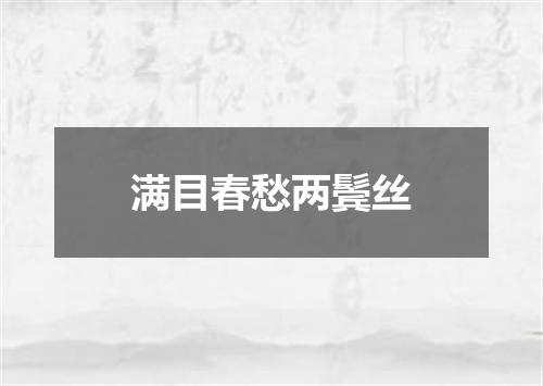 满目春愁两鬓丝