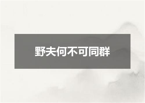 野夫何不可同群