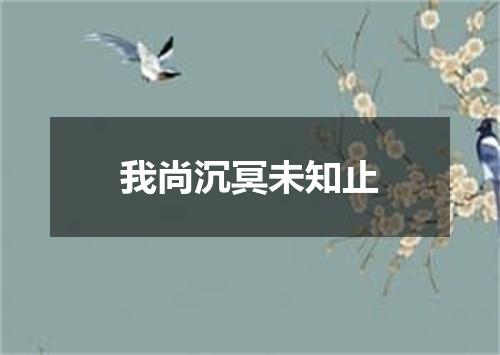 我尚沉冥未知止