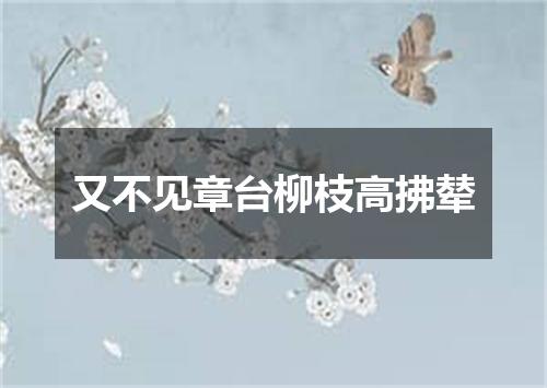 又不见章台柳枝高拂辇