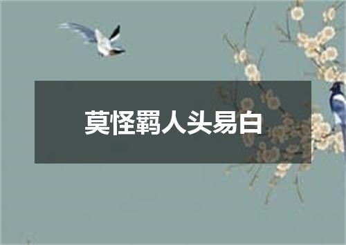 莫怪羁人头易白