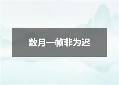 数月一帧非为迟