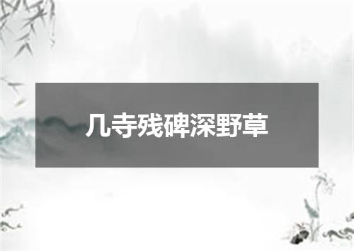 几寺残碑深野草