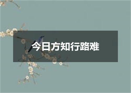 今日方知行路难