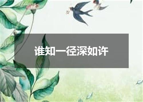 谁知一径深如许