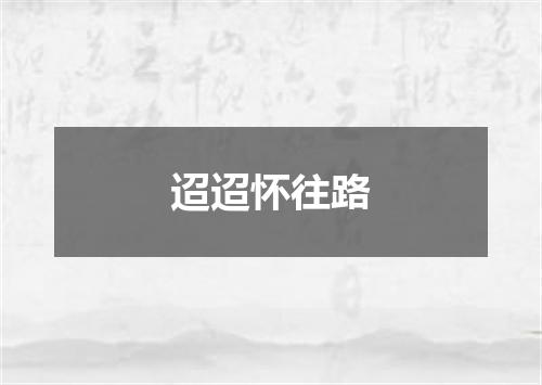 迢迢怀往路