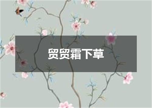 贸贸霜下草