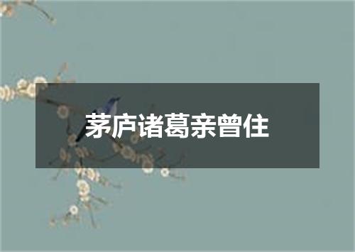 茅庐诸葛亲曾住
