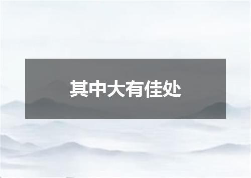 其中大有佳处