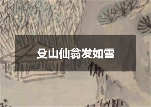 殳山仙翁发如雪
