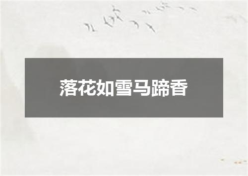 落花如雪马蹄香