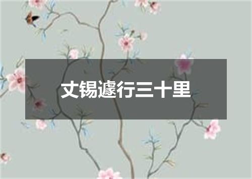 丈锡遽行三十里