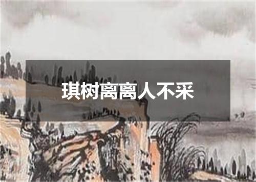 琪树离离人不采