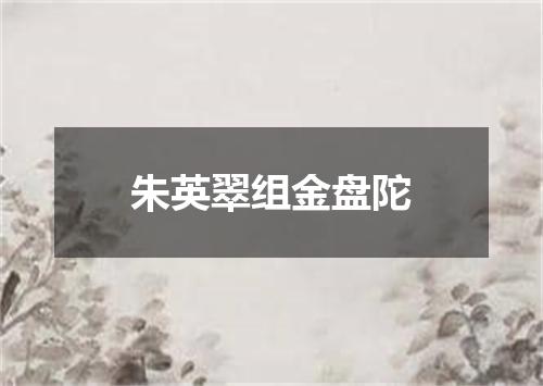 朱英翠组金盘陀