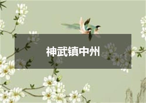 神武镇中州