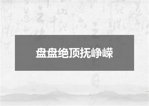 盘盘绝顶抚峥嵘