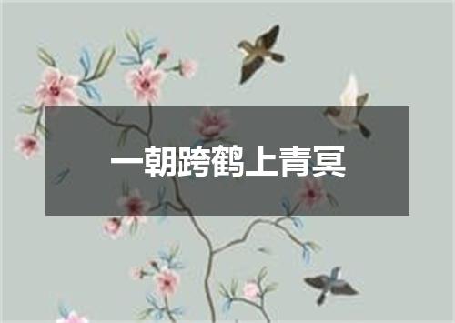 一朝跨鹤上青冥