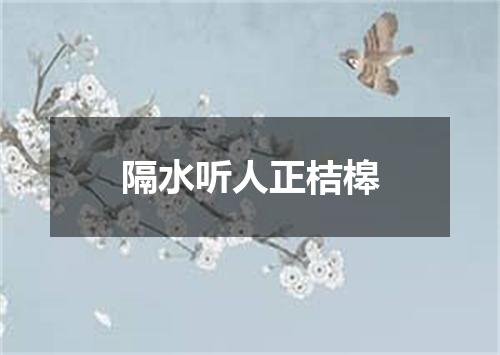 隔水听人正桔槔