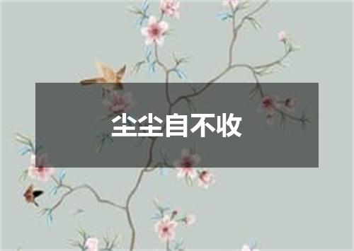尘尘自不收
