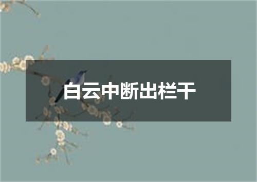 白云中断出栏干