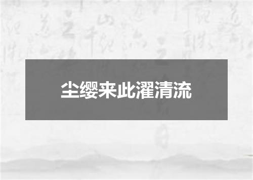 尘缨来此濯清流