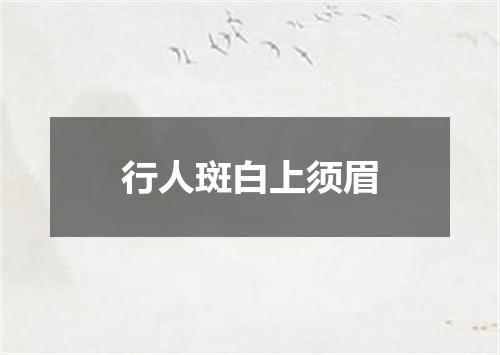 行人斑白上须眉