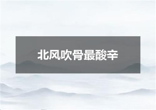 北风吹骨最酸辛