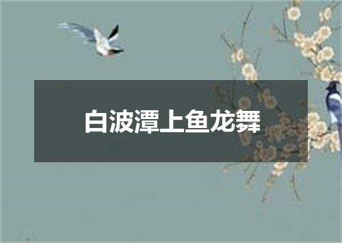 白波潭上鱼龙舞