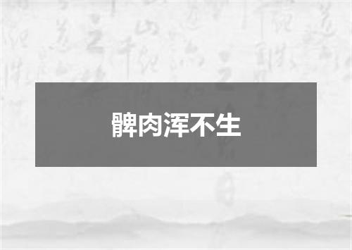 髀肉浑不生
