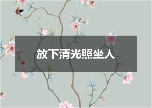 放下清光照坐人