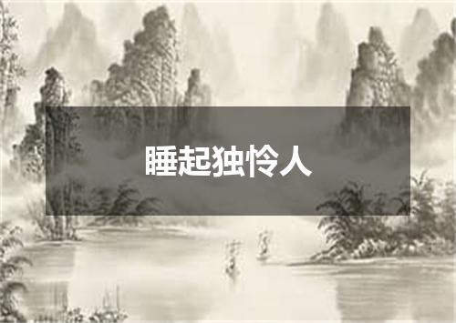 睡起独怜人