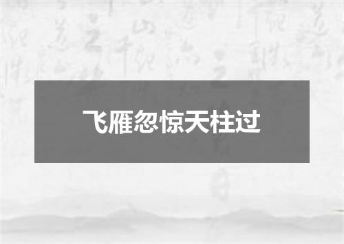 飞雁忽惊天柱过